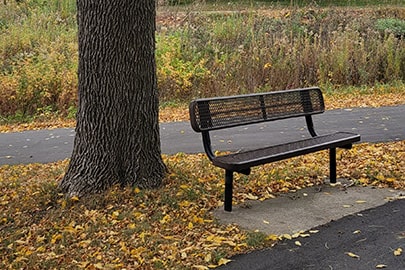 A park bench sits next to a tree and a walking path with leaves scattered around the ground.
