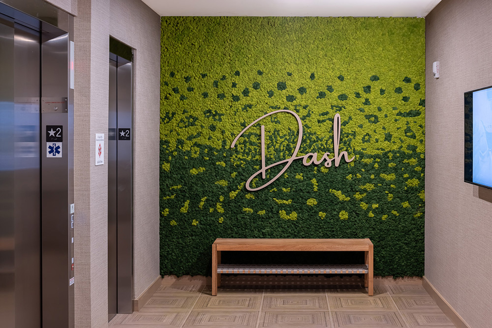 elevator bank in an apartment building with bright green wall with the word "Dash" and bench