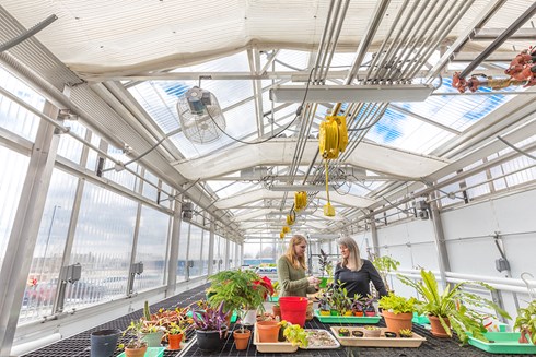 Northwestern College Health Natural Sciences Greenhouse built by Opus Design Build.