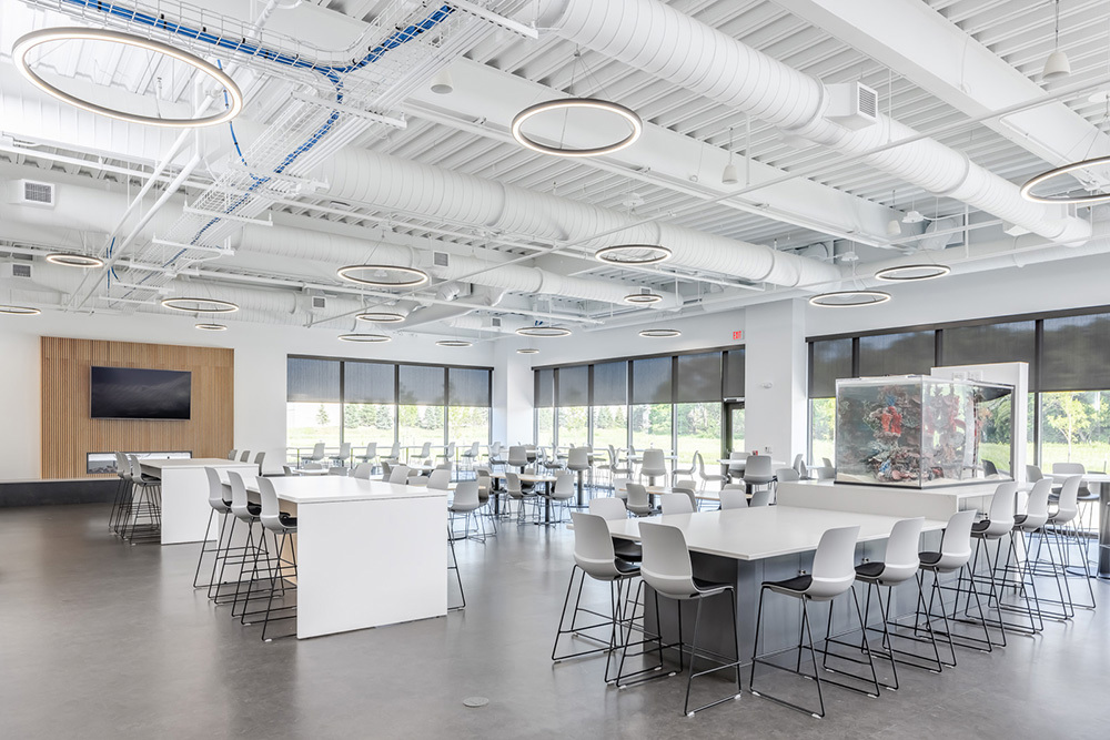 cafeteria in office building with rows of tables and chairs and windows providing natural light